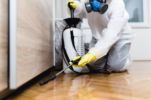 Best Affordable Pest Control Services  in Mcclure, PA