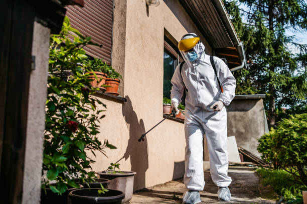 Best Spider Control Near Me  in Mcclure, PA