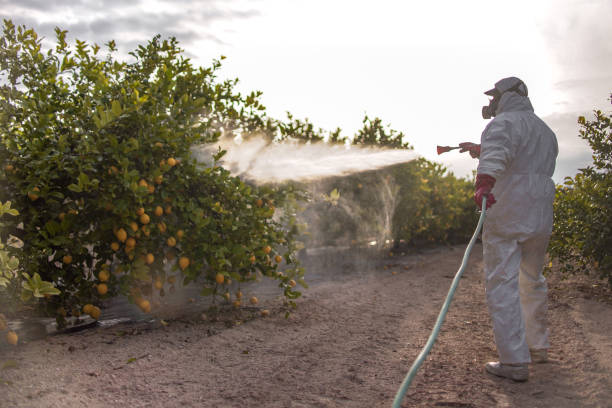 Best Pest Control Near Me  in Mcclure, PA