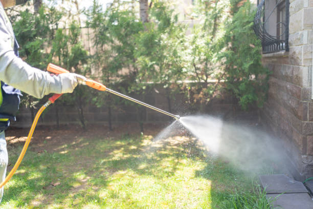 Best Termite Control Services  in Mcclure, PA