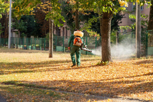 Best Affordable Pest Control Services  in Mcclure, PA