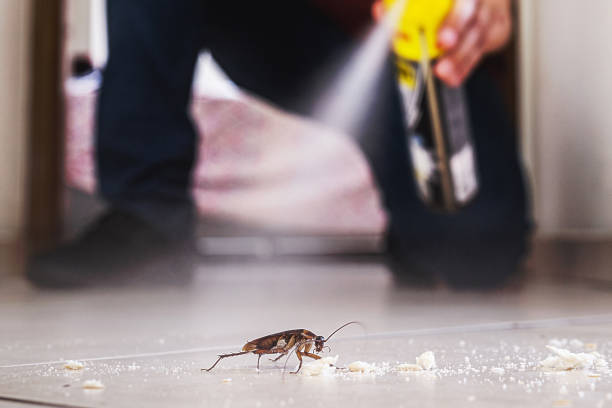 Best Cockroach Control Services  in Mcclure, PA