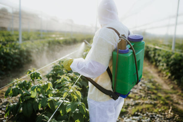 Best Pest Control Near Me  in Mcclure, PA